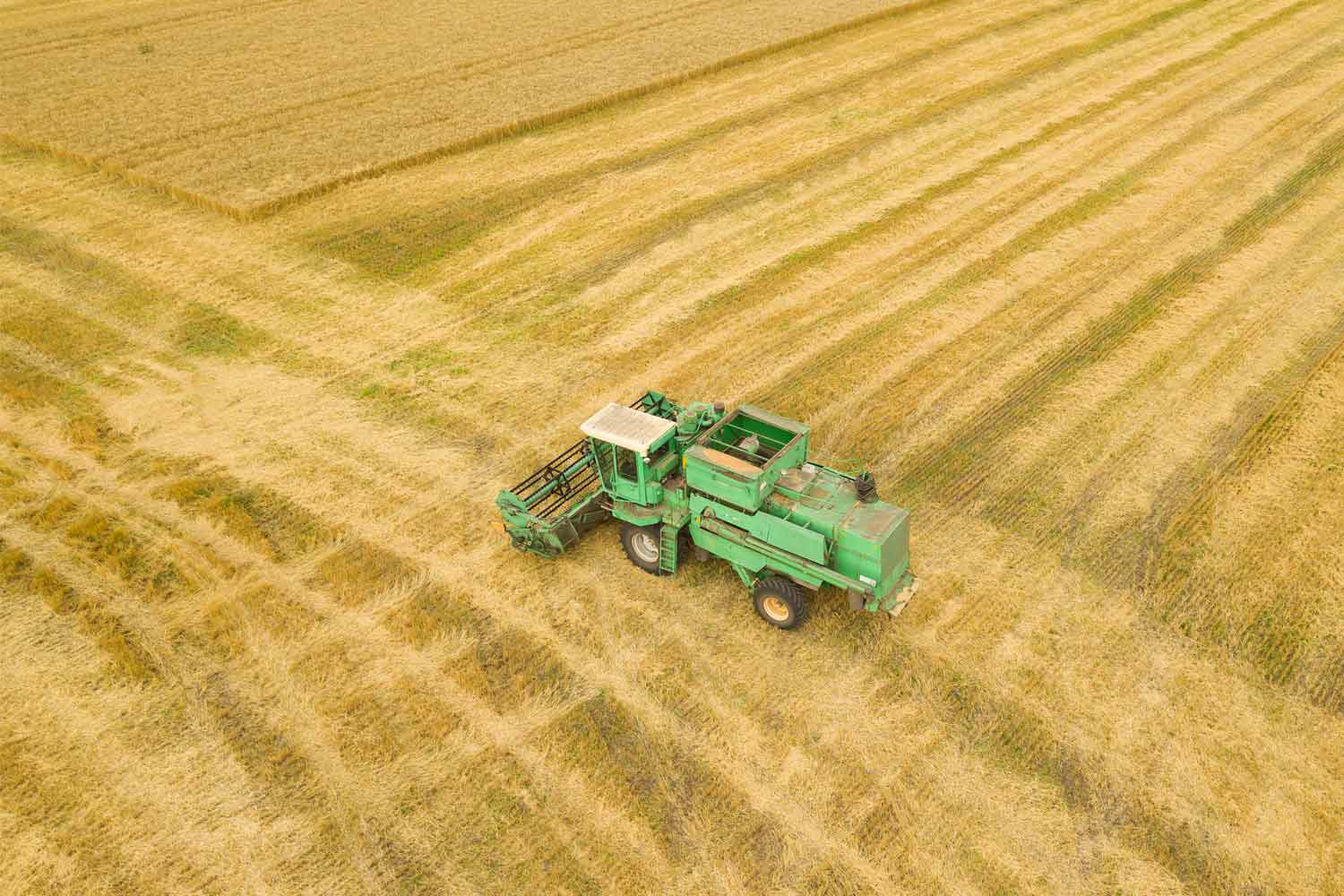 Types Of Tractors: What To Consider When Buying One 3 未标题 2