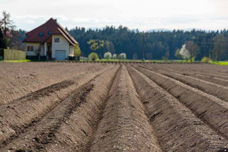 plowed field brown soil 2021 08 28 11 36 53 utc