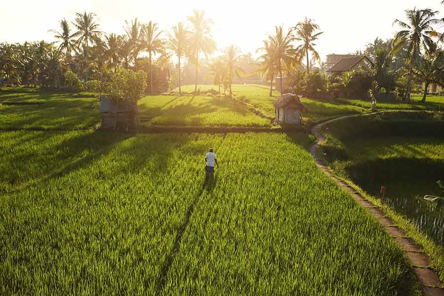 Applicable industries 22 beautiful view of farm lands 2021 08 26 19 58 18 utc