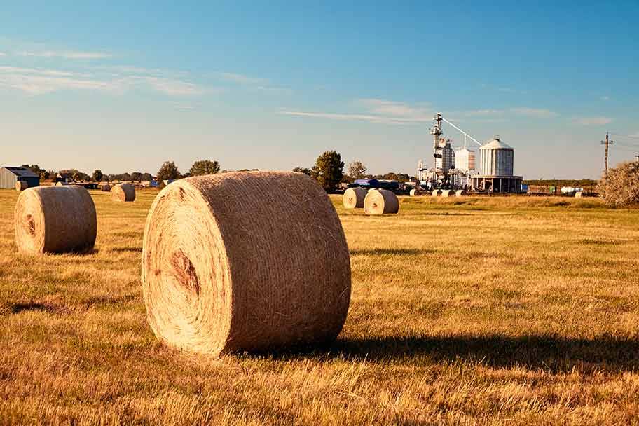 Applicable industries 24 farmland 2021 08 26 18 08 31 utc