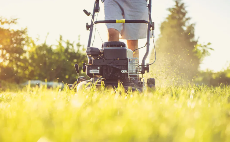 What is the Best Gas for a Lawn Mower? 8 Bedste Gas