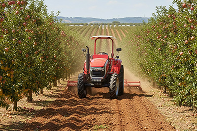 Tractor working in an orchard